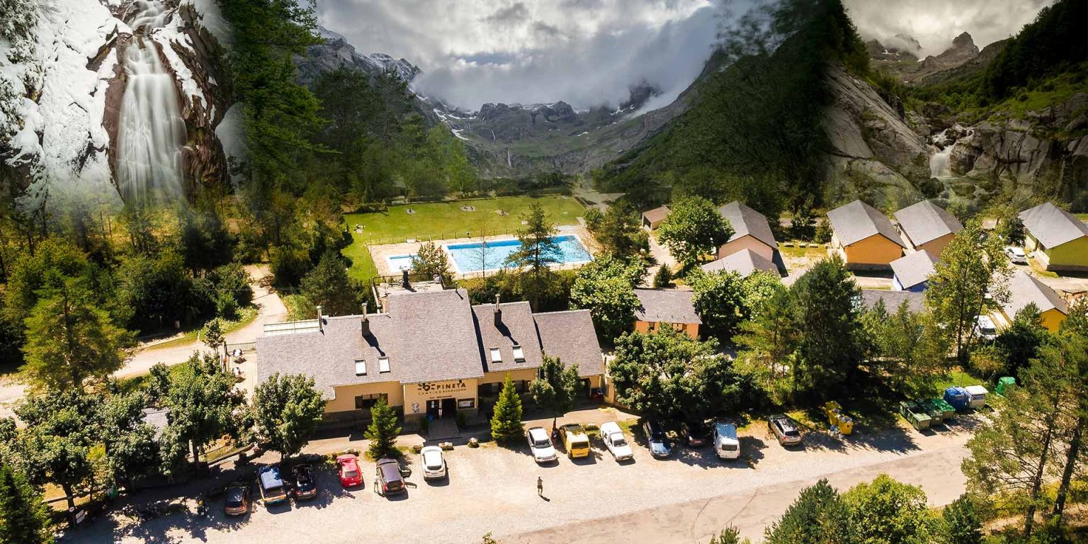 Camping Pineta