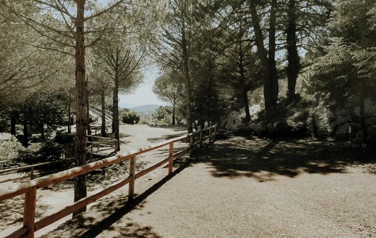 Camping Tajo Rodillo