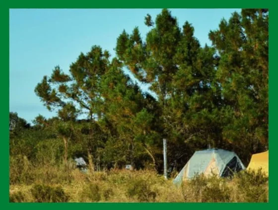 Camping Darío Salomón - CNC