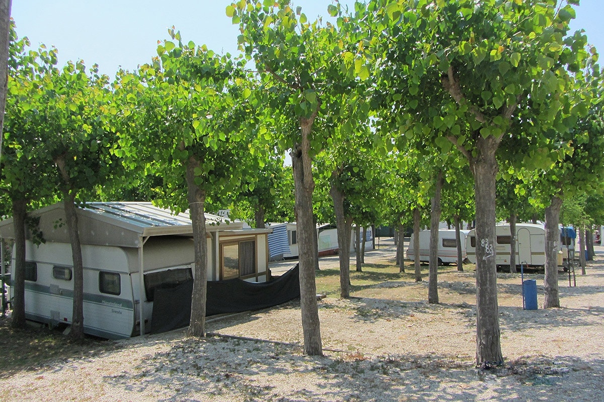 Camping Belvedere S.N.C.