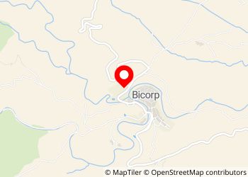 Área de Autocaravanas Bicorp