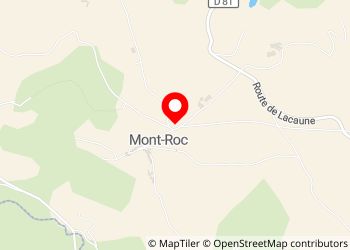 AIRE DE SERVICES ET STATIONNEMENT CAMPING CAR 81120 Mont-Roc