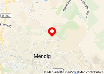 Wohnmobilstellplatz Brauerstraße