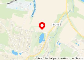 Wohnmobilstellplatz SteinTherme