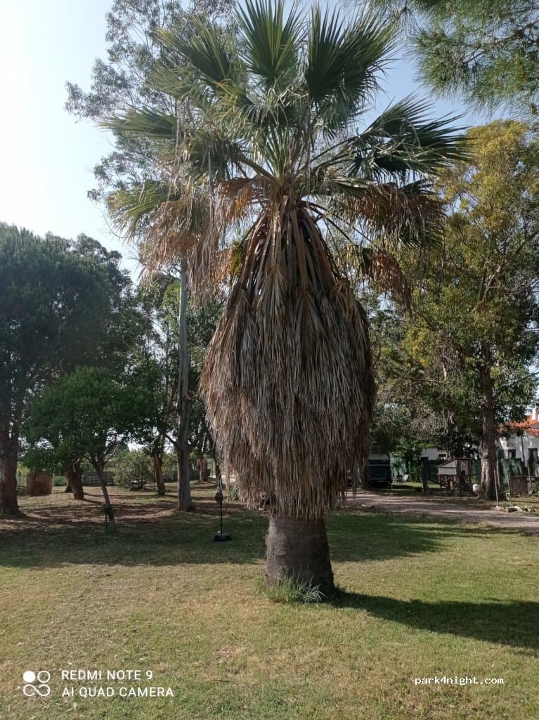 Camping-car à la ferme