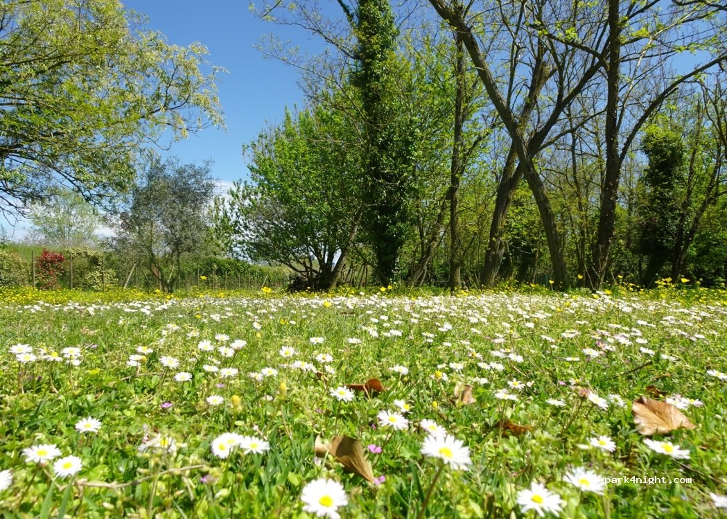 Camper Parking Area - Cavallari