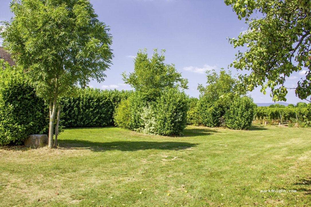 Wohnmobilstellplatz Weingut Schreieck