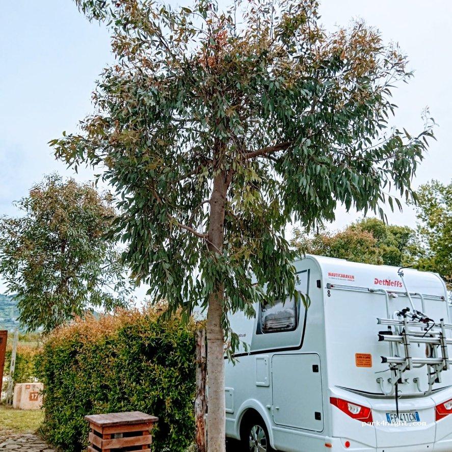 Agricampeggio Camping Campsite Area Sosta "La tranquillità di Azienda Agricola Rizzo Giuseppe