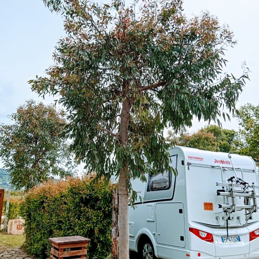 Agricampeggio Camping Campsite Area Sosta "La tranquillità di Azienda Agricola Rizzo Giuseppe