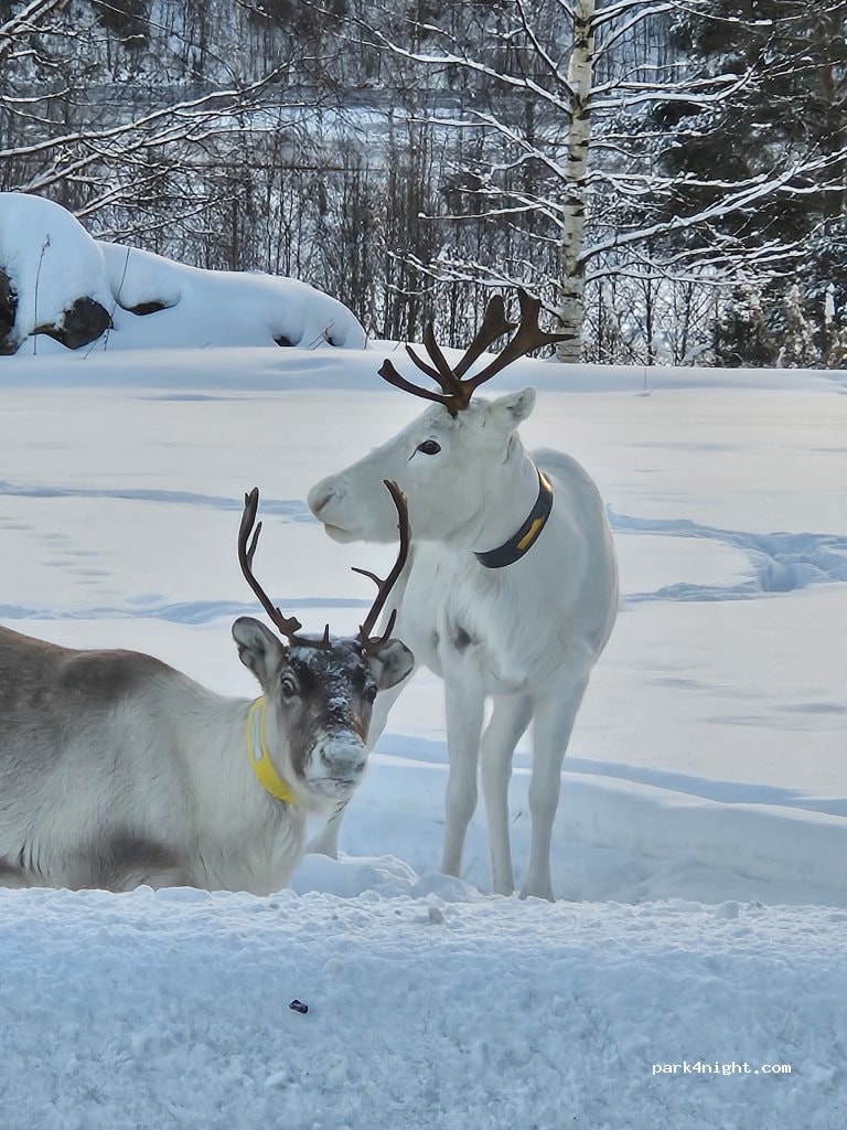 Ammeråns Fiskecamp AB
