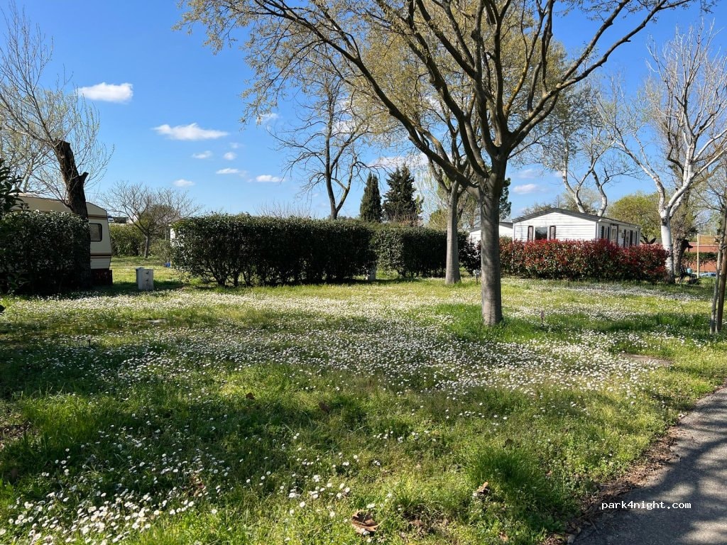Patate Gardens