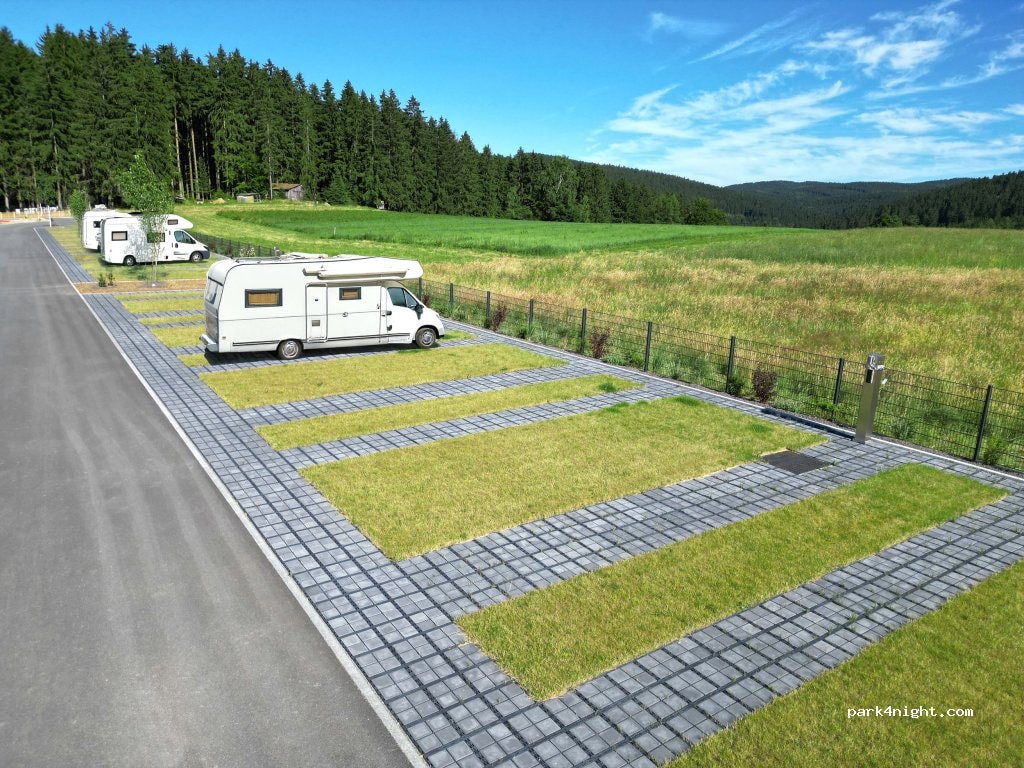 Pineapple creek camping pavones