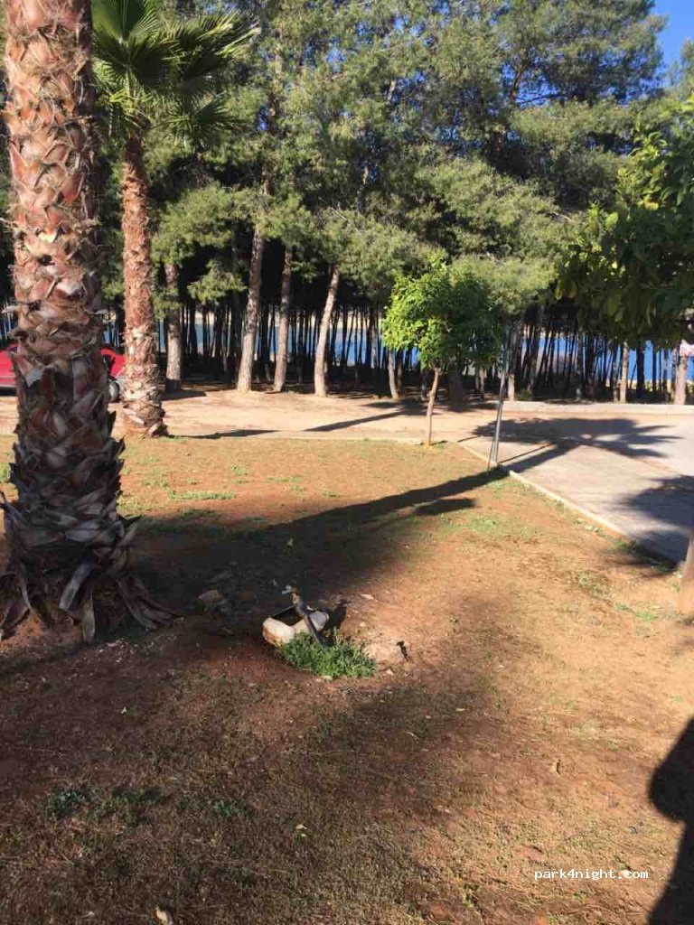 Camping Los Arrayanes