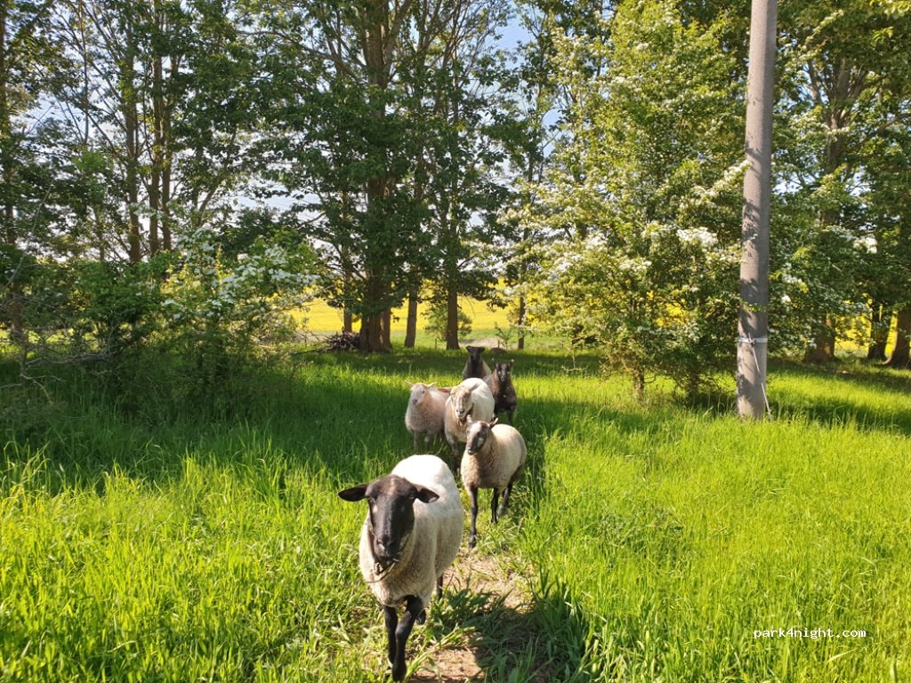 Overlander Camping Quaduxenbarg Wismar