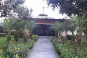 Terminal De Autos
