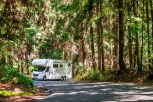Bosque Estatal de Río Abajo