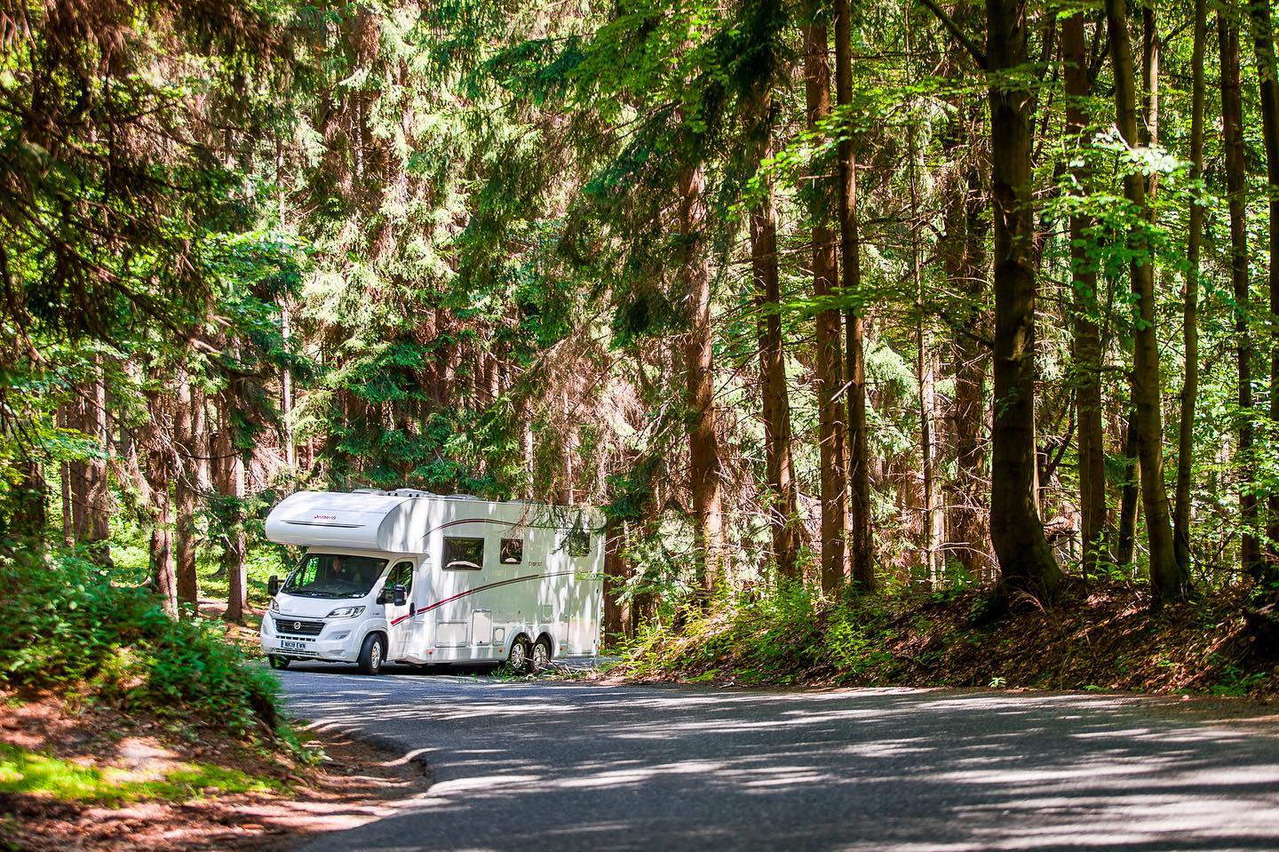 Bosque Estatal de Carite