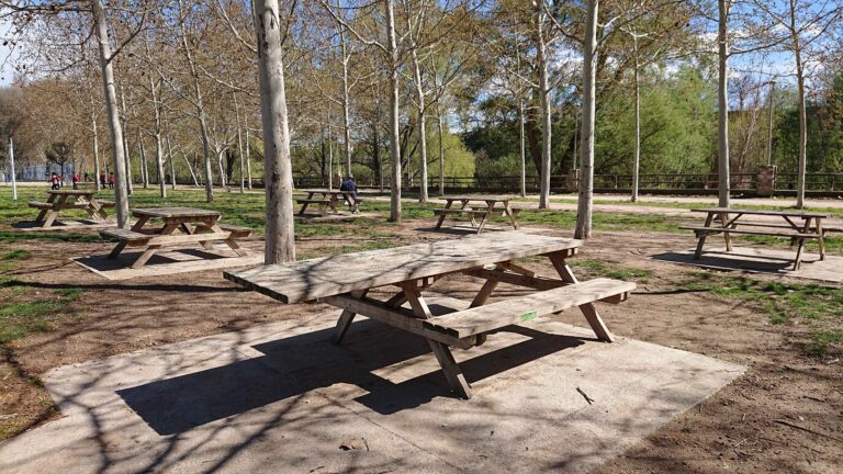 Parque Maitencillo