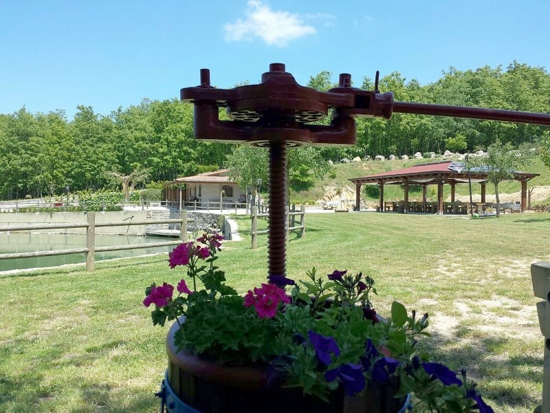 Agricampeggio Laghetto Basilone