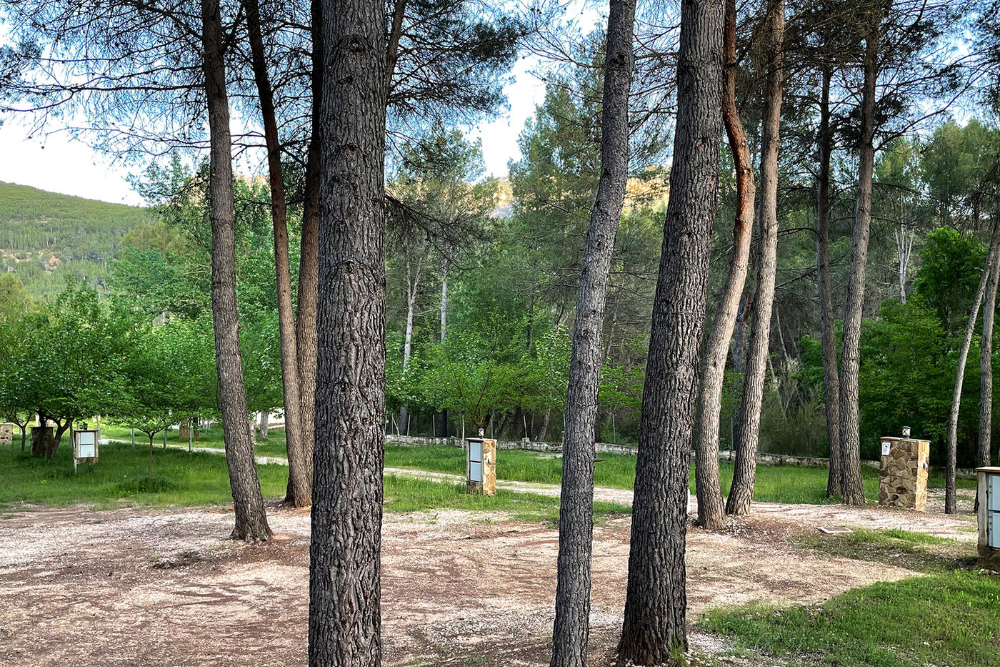 Camping Río Segura