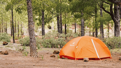 Zona de Acampada de Llanos de La Mimbre
