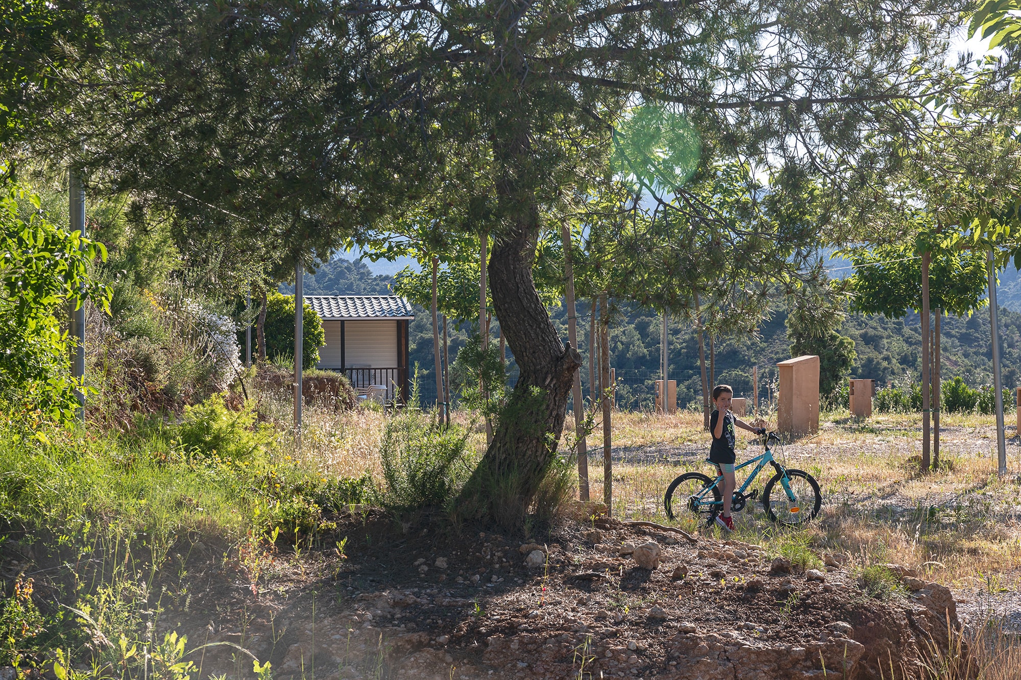 Beceite Camping