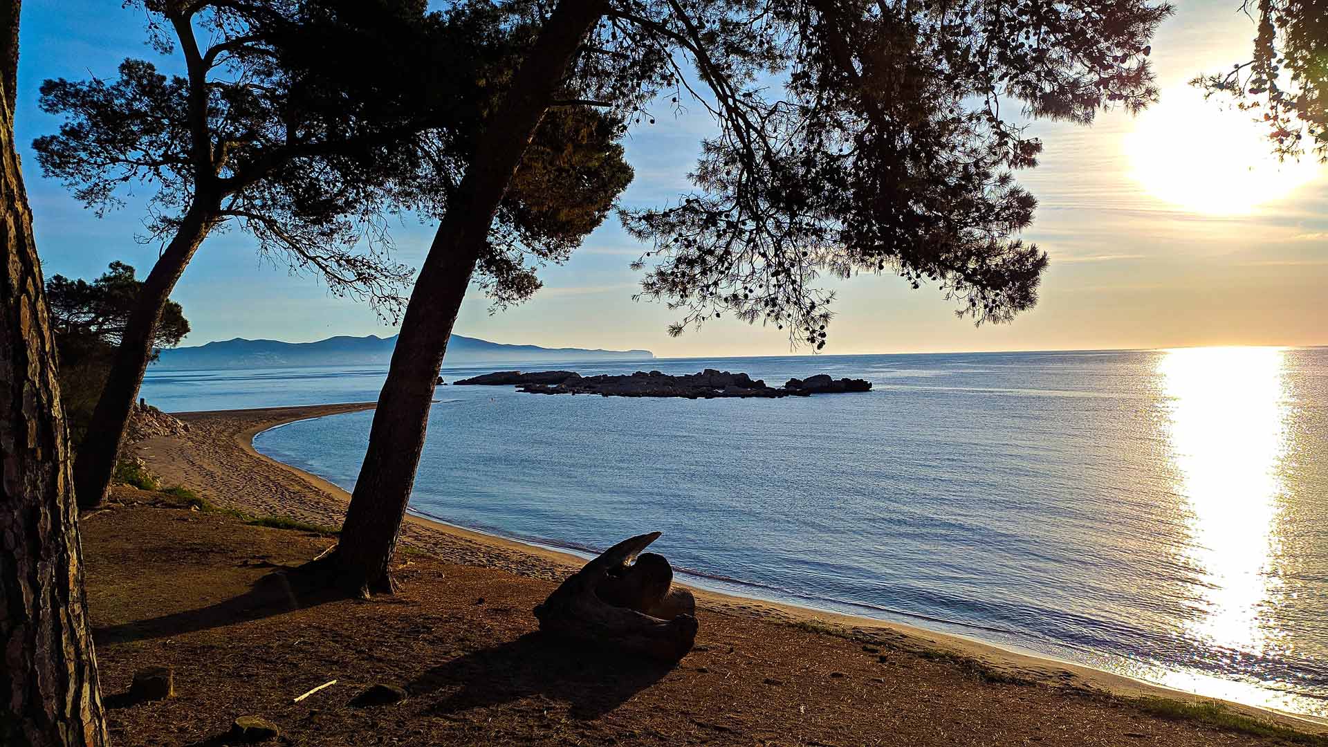 Camping Las Dunas Costa Brava