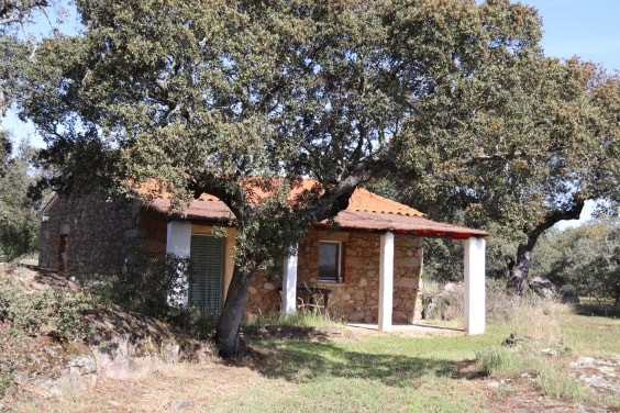 Camping Las Grullas