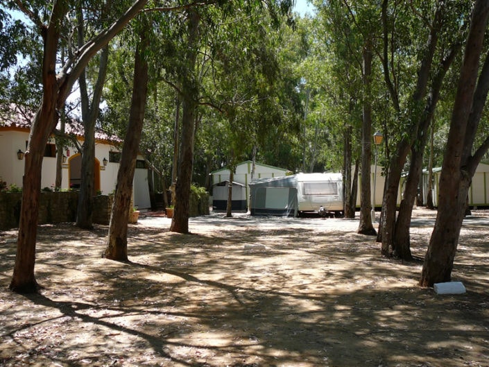 Camping los Eucaliptos