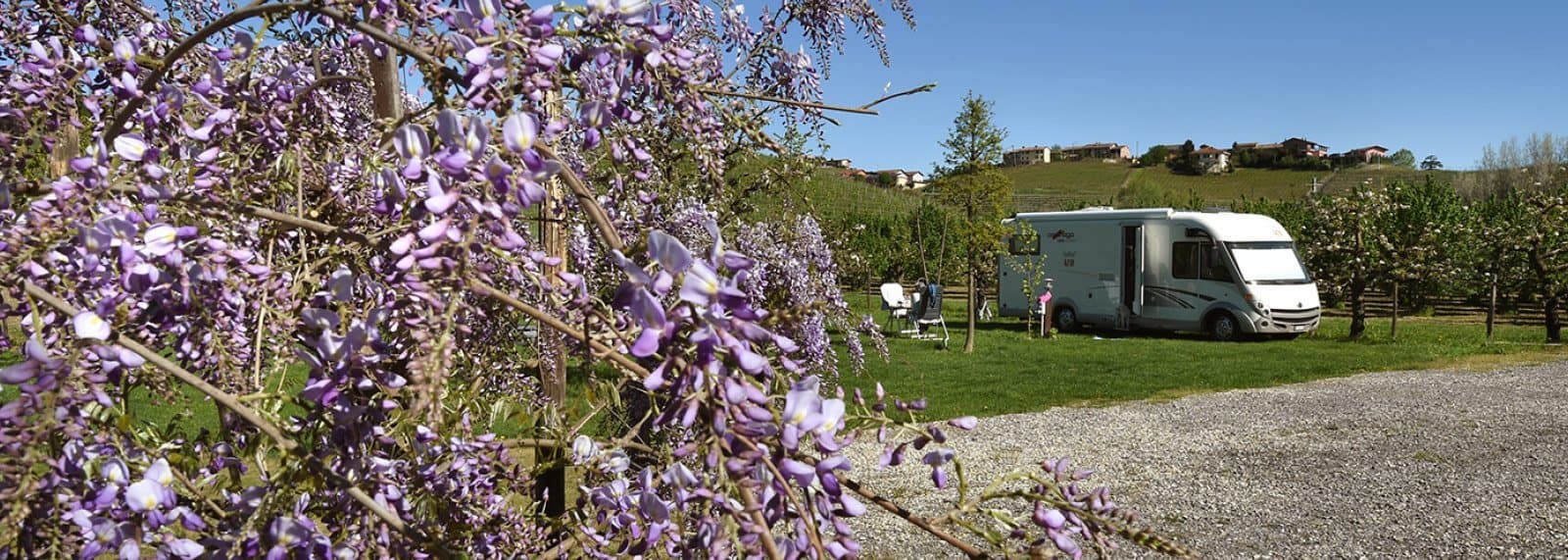 Agricampeggio La Rosa