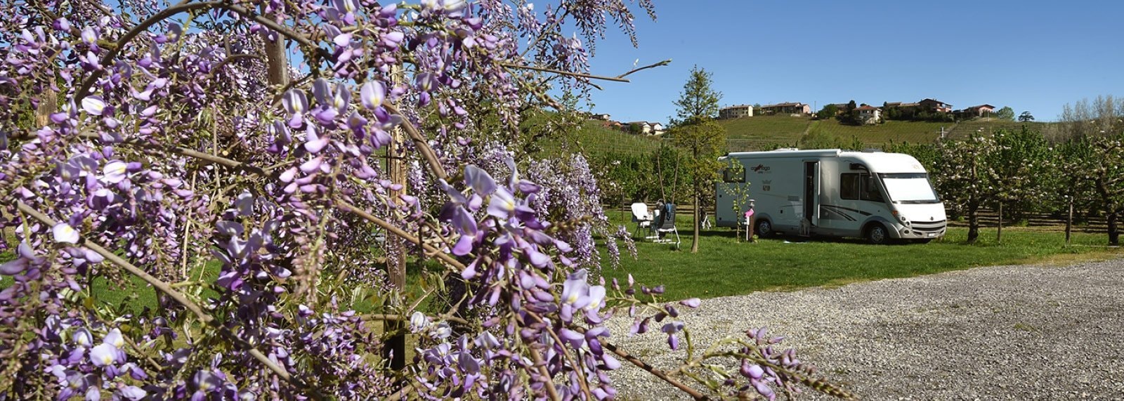 Agricampeggio La Rosa