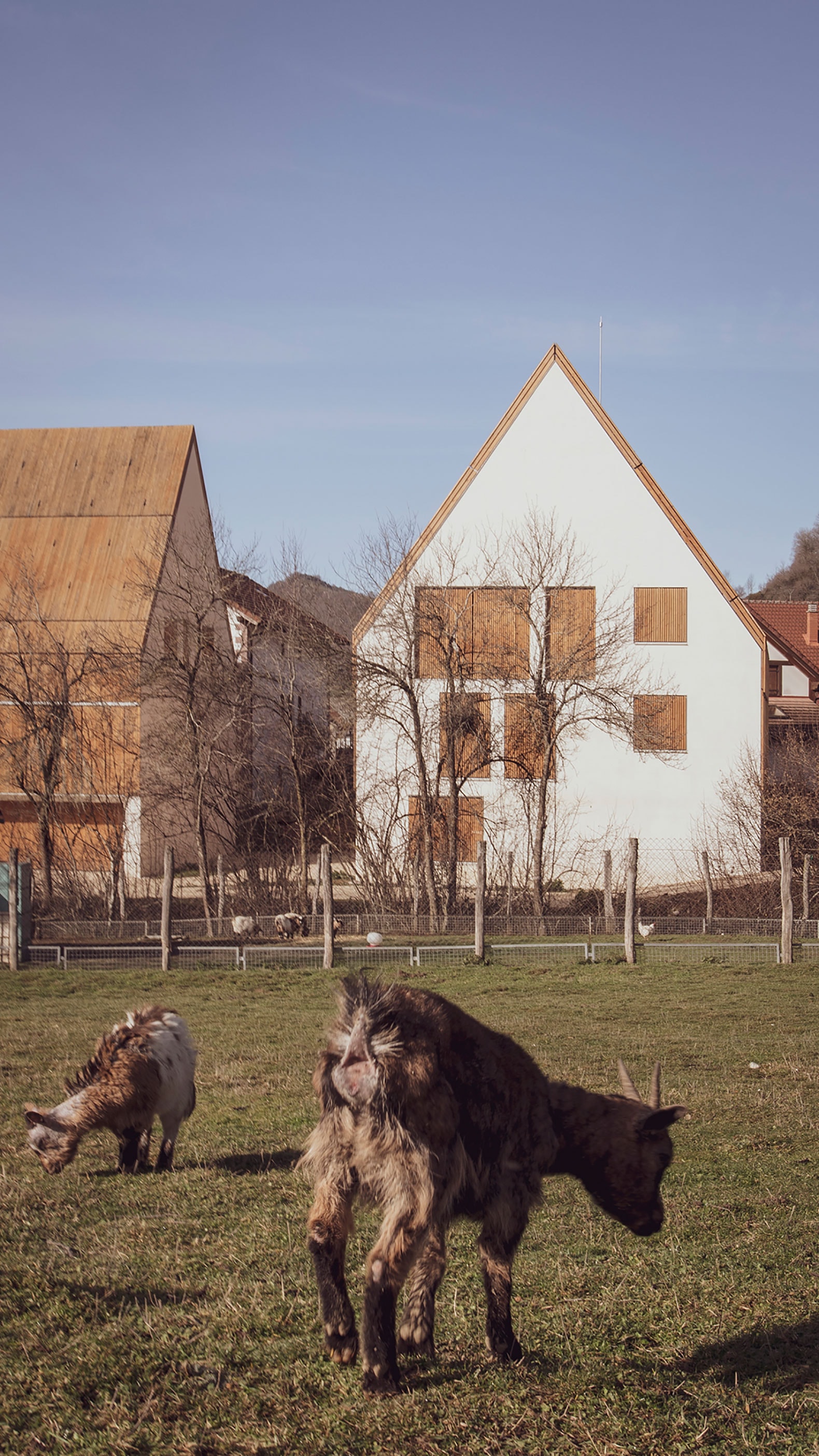 Herencia Ventisquero de Elena Fuentes