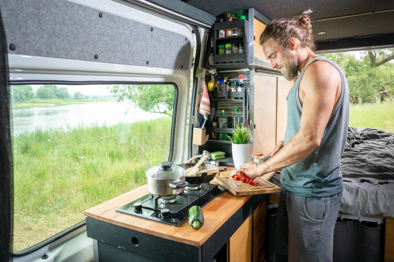 Nordesvan by Van Van Go