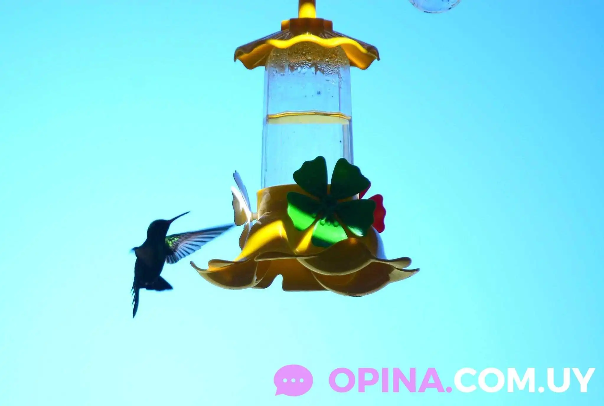 Soñar despierto Yao Yao camping Motorhome y Casas Rodante