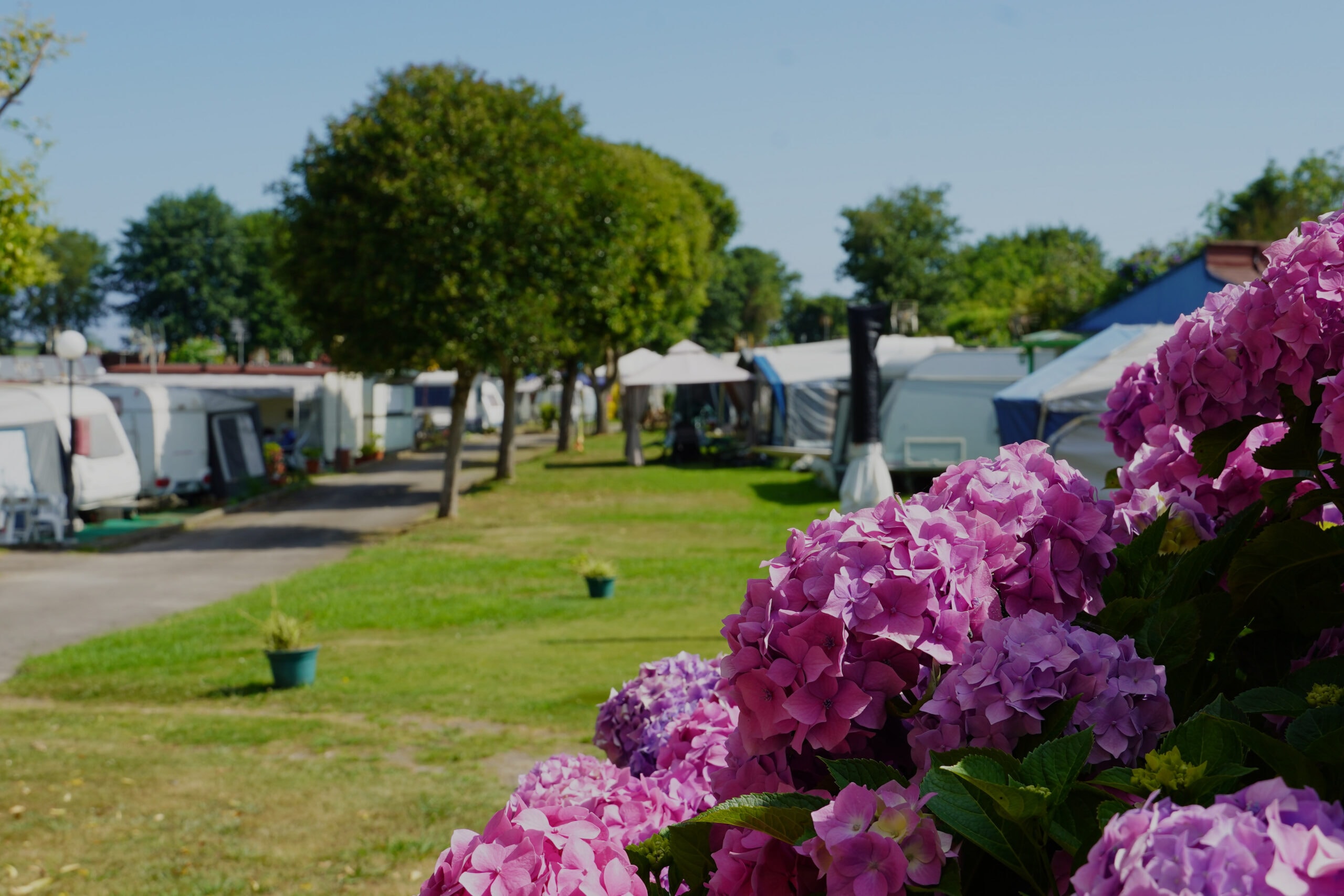 Camping El Molino